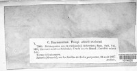 Image Associated With the Occurence